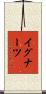 イグナーツ Scroll
