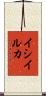 イシイルカ Scroll