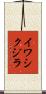イワシクジラ Scroll