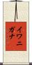 イワニガナ Scroll
