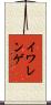イワレンゲ Scroll