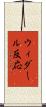 ウィダール反応 Scroll