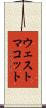 ウェストマコット Scroll