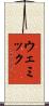 ウェミック Scroll