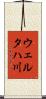 ウェルタハ川 Scroll