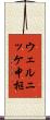 ウェルニッケ中枢 Scroll