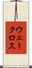 ウェークロス Scroll