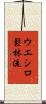 Ueshiro Shorin-Ryu / Ueshiro Matsubayashi-Ryu Scroll