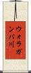 ウォラガンバ川 Scroll