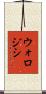 ウォロジシ Scroll