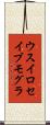 ウスイロセイブモグラ Scroll