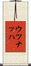 Uznach Scroll