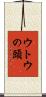 ウトウの頭 Scroll