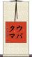 ウバタマ Scroll