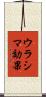ウラシマ効果 Scroll