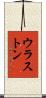 ウラストン Scroll