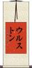 ウルストン Scroll
