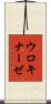 ウロキナーゼ Scroll