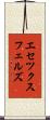 エセツクスフェルズ Scroll