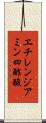 エチレンジアミン四酢酸 Scroll