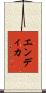 Endika Scroll