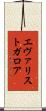 エヴァリストガロア Scroll