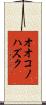 オオコノハズク Scroll