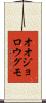オオジョロウグモ Scroll