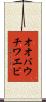 オオバウチワエビ Scroll
