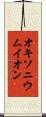 オキソニウムイオン Scroll