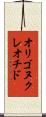 オリゴヌクレオチド Scroll