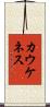 カウケネス Scroll