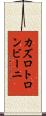 カズロトロンビーニ Scroll