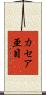 カセア亜目 Scroll