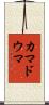 カマドウマ Scroll