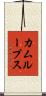 カムループス Scroll