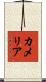 Kamelia Scroll