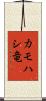 カモハシ竜 Scroll