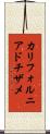 カリフォルニア・ドチザメ Scroll