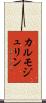 カルモジュリン Scroll