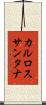 カルロスサンタナ Scroll