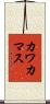 カワカマス Scroll