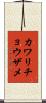 カワリチョウザメ Scroll