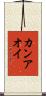 カンアオイ Scroll