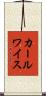 カールワイス Scroll