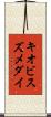 キオビスズメダイ Scroll