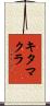 キタマクラ Scroll