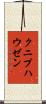 クニプハウゼン Scroll
