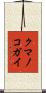 クマノコガイ Scroll