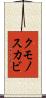 クモノスカビ Scroll